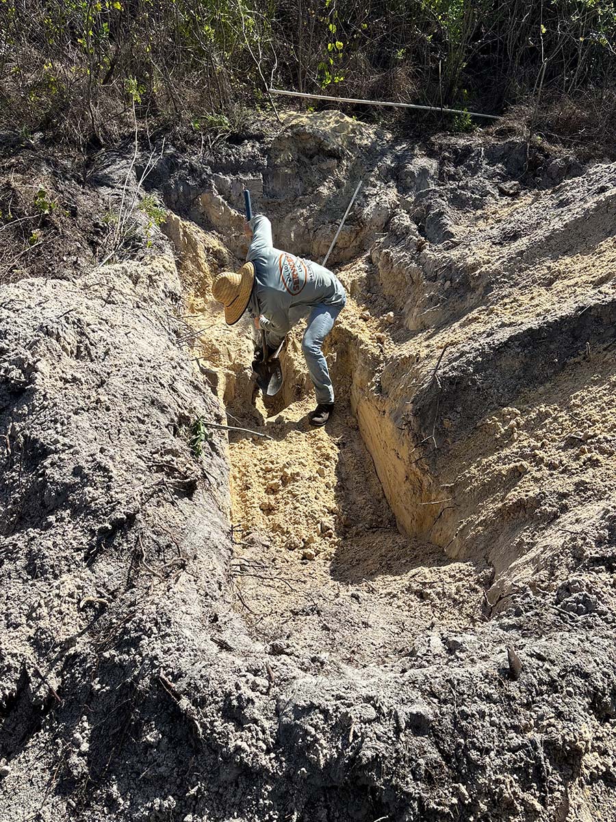 Licensed Gopher Tortoise Removal Relocation Punta Gorda Charlotte Country Licensed Gopher Tortoise Removal Relocation Punta Gorda Charlotte Country
