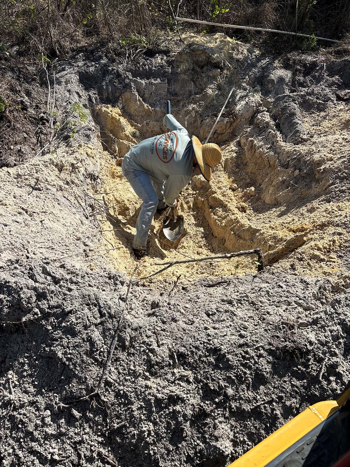 Licensed Gopher Tortoise Removal Relocation Punta Gorda Charlotte Country Licensed Gopher Tortoise Removal Relocation Punta Gorda Charlotte Country