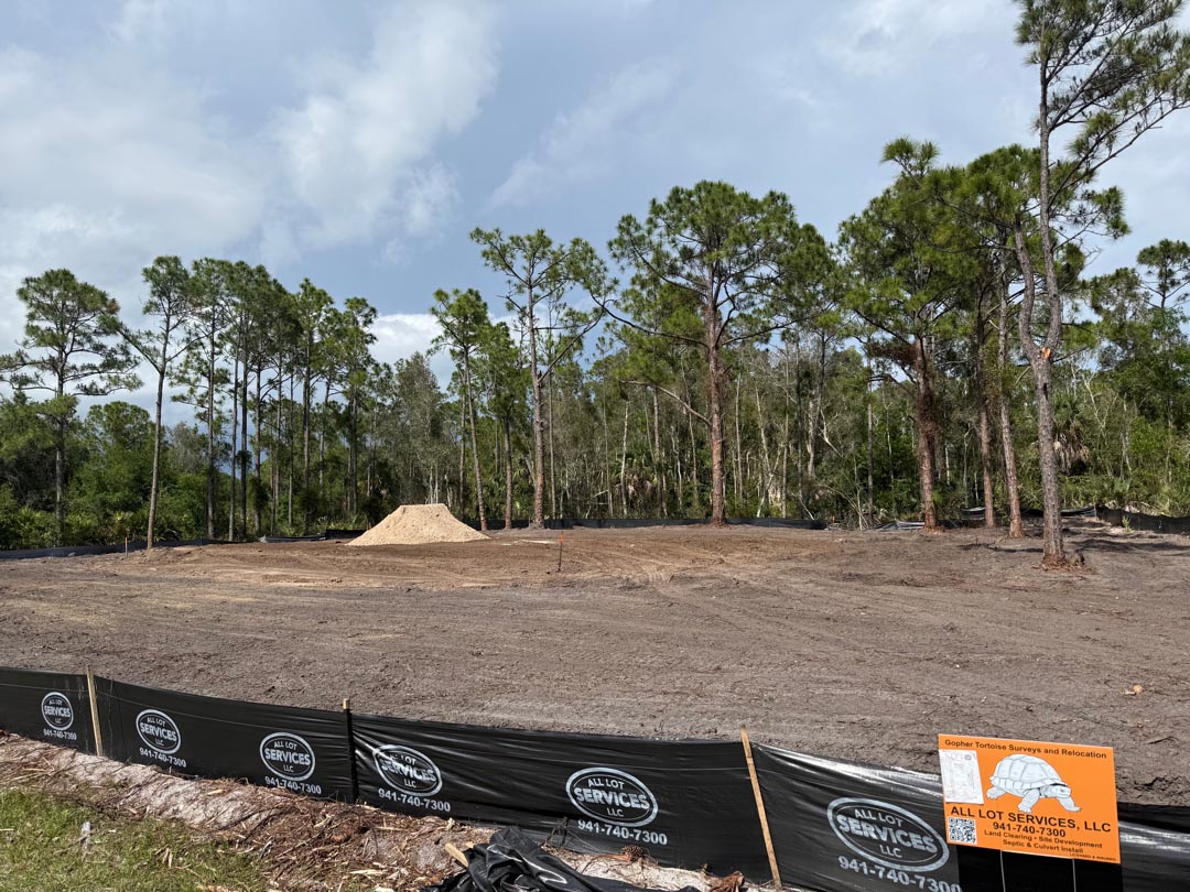 land-clearing-punta-gorda-03